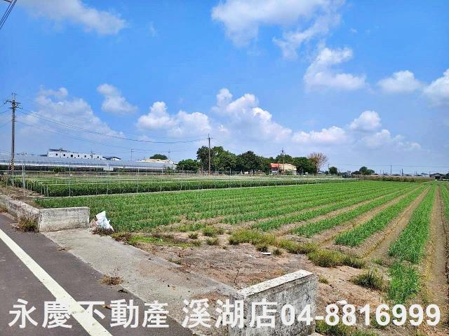 彰化田尾農地-4