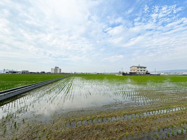 龍井農地-4
