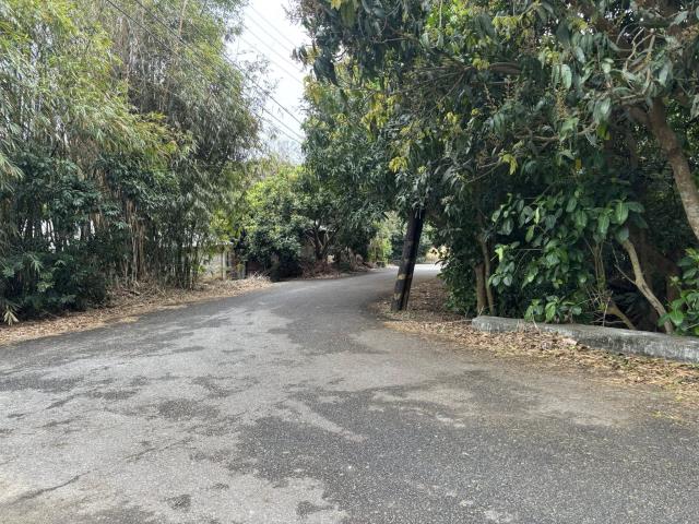 神岡農地-2