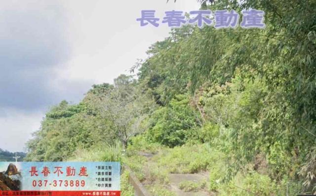 三義農地-2
