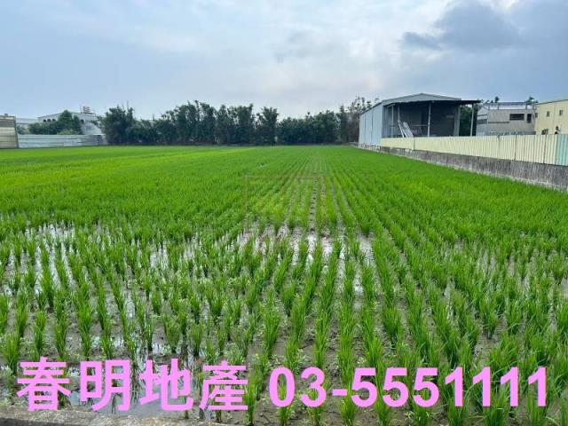 新竹農地-1