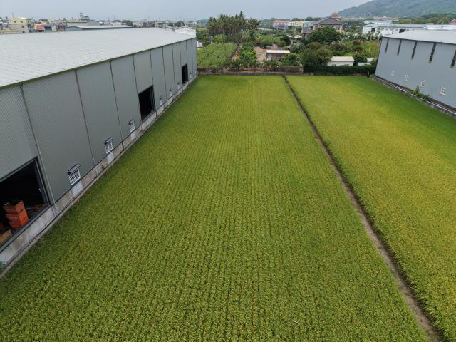 高雄阿蓮農地-6
