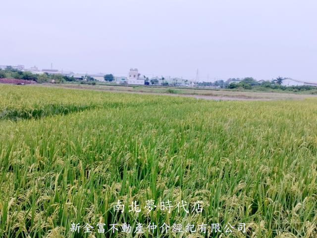 台南仁德農地-2