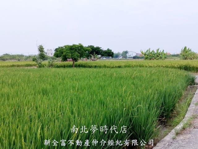 台南仁德農地-4