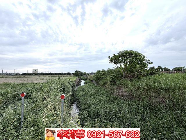 下營農地-8