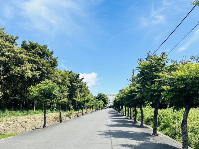 橋頭農地-11