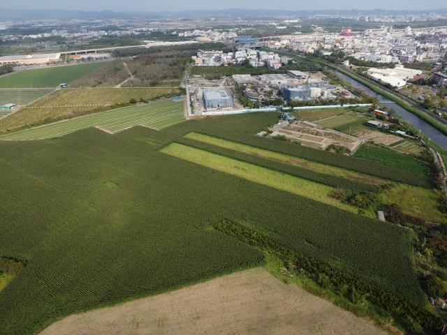 橋頭農地-1