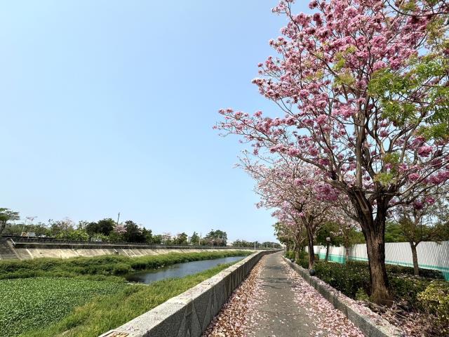 橋頭農地-9