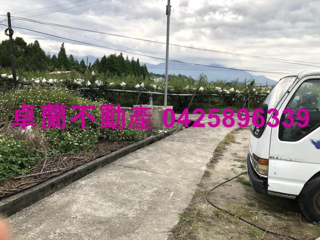苗栗農地-3