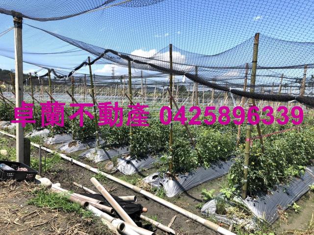 苗栗農地-8