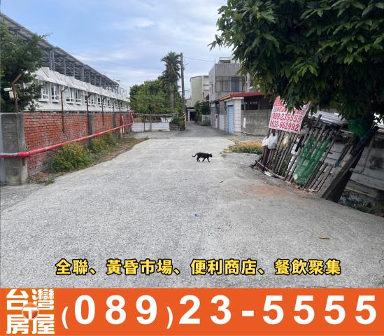 台東建地-2