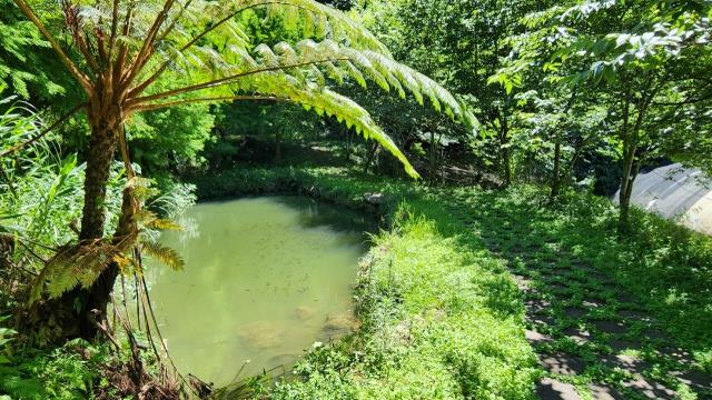 新竹農地-14