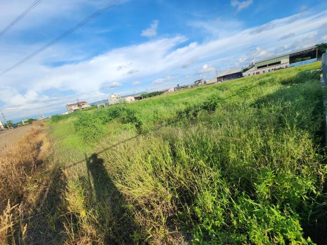 高雄阿蓮農地-5