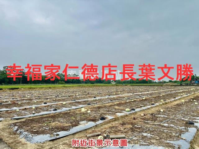 台南善化農地-2