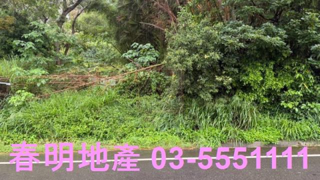 新竹芎林農地-1