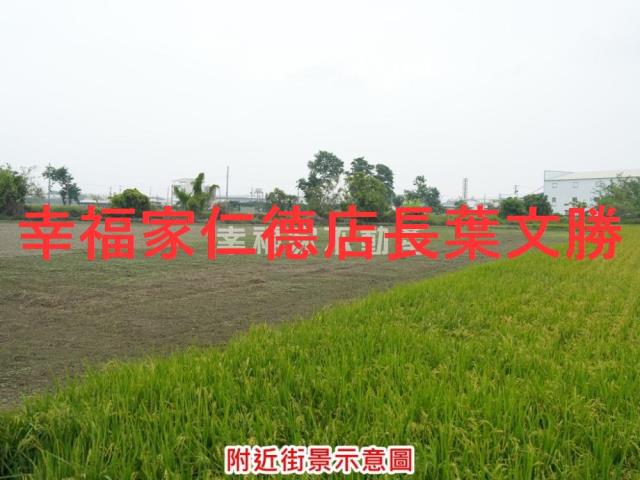 下營農地-10