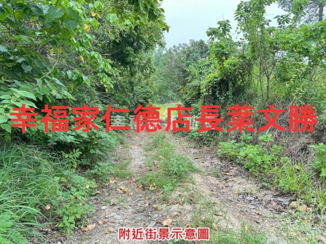 善化農地-13