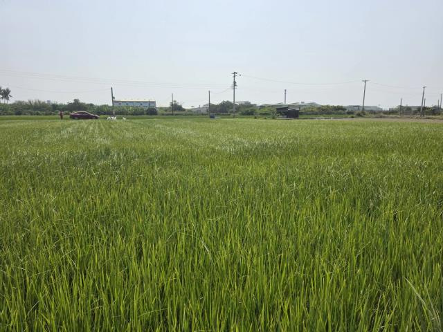 岡山農地-3