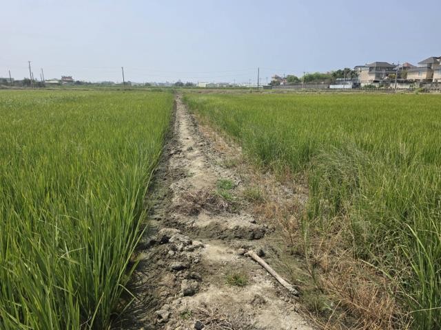 岡山農地-8