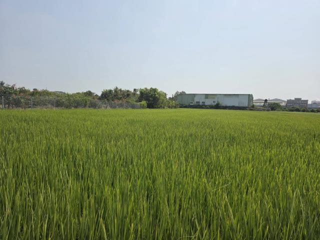 岡山農地-1