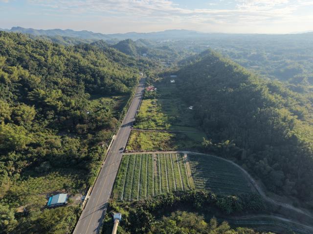 內門農地-3