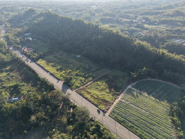 內門農地-4