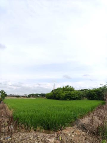 桃園農地-2
