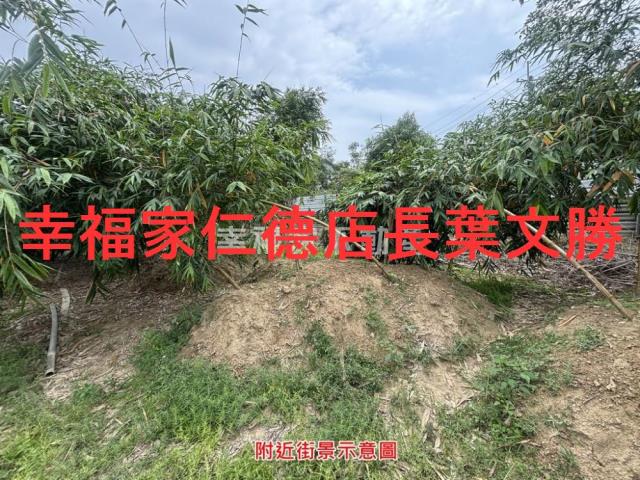 台南農地-6