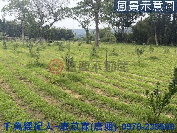 新竹關西農地-1