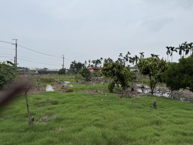 屏東鹽埔農地-6