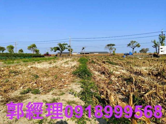 台南佳里農地-10