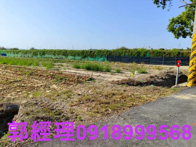 台南佳里農地-4