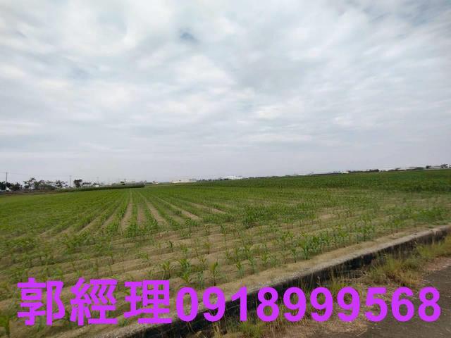 台南鹽水農地-1