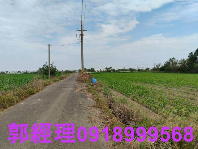 台南鹽水農地-6