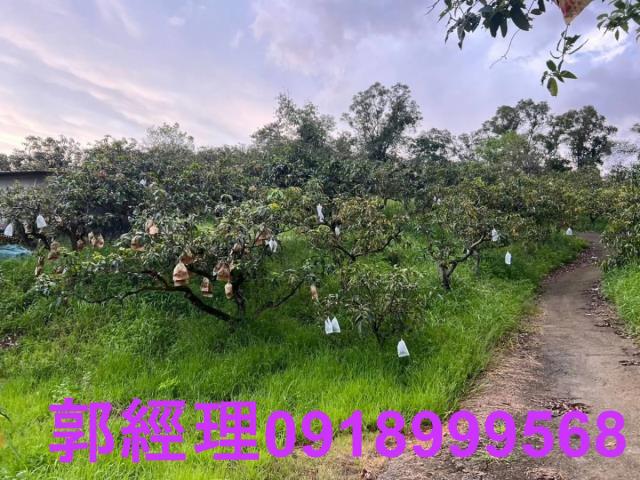 台南玉井農地-4