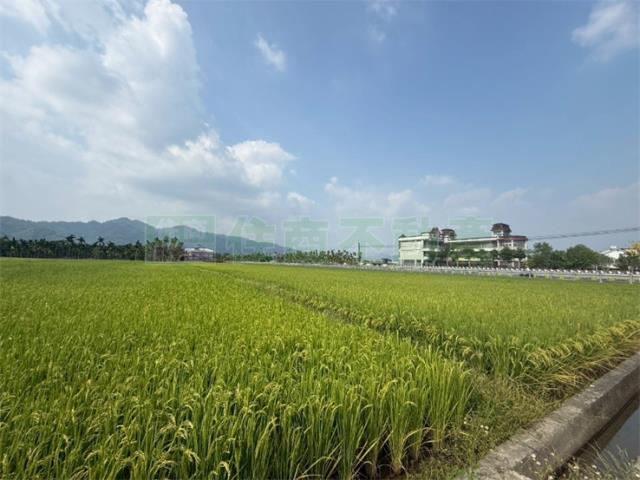 美濃農地-3