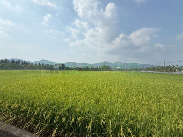 美濃農地-10
