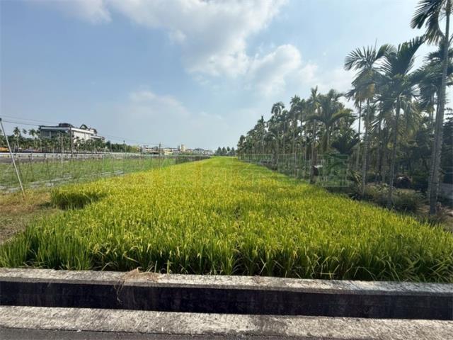 美濃農地-10