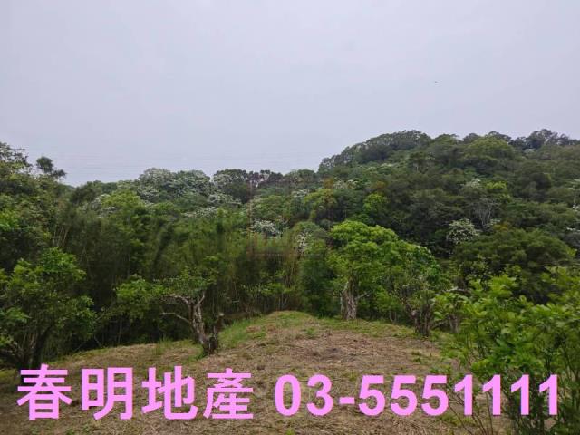 頭份農地-9