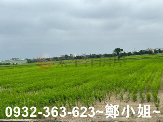 新屋農地-13