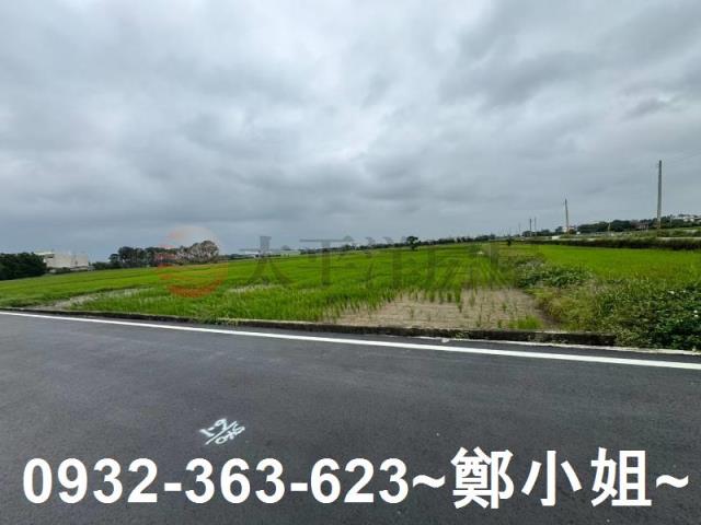 新屋農地-15