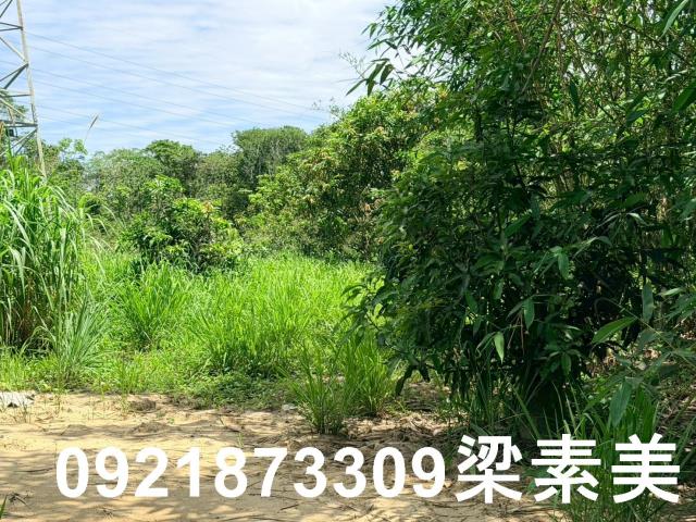 白河農地-5