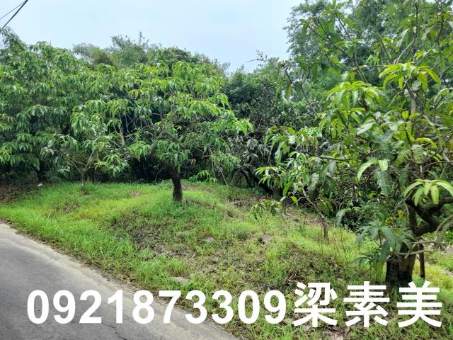 玉井農地-3