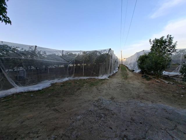 高雄農地-4