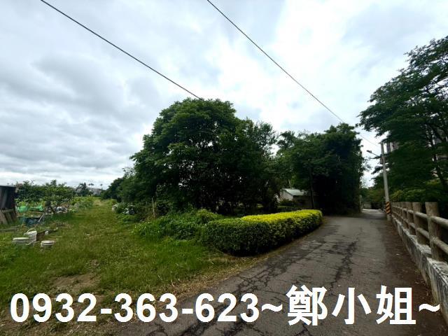 桃園農地-1