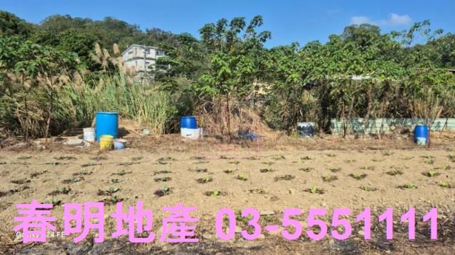 苗栗造橋農地-1