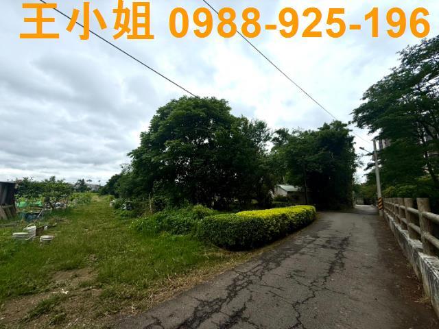 桃園桃園區農地-2