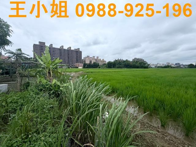 桃園桃園區農地-5