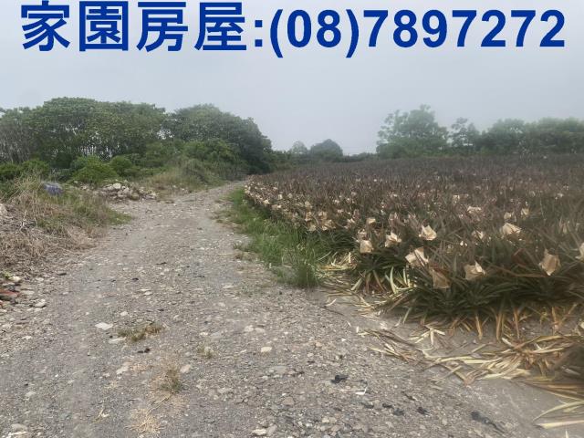 屏東萬巒農地-2