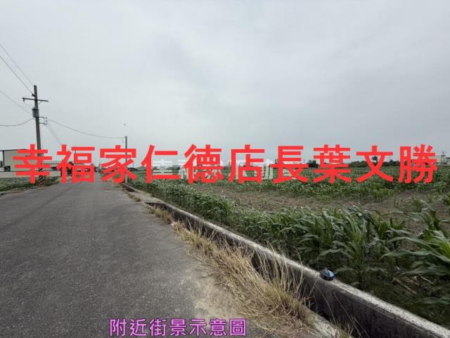 安定農地-7